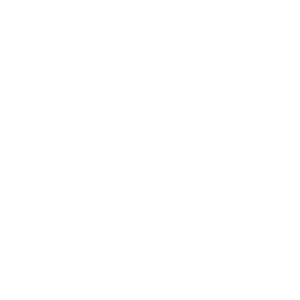 Evolution logo.